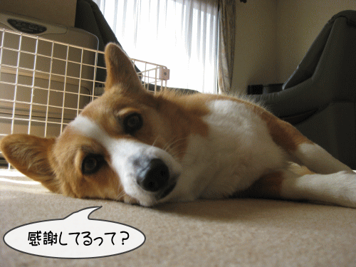 がんばってるんだよ
