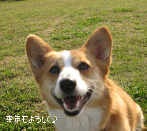 良いお正月を