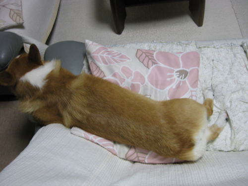 まだかですかぁ