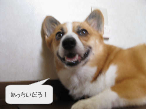 まだまだ暑いね.gif