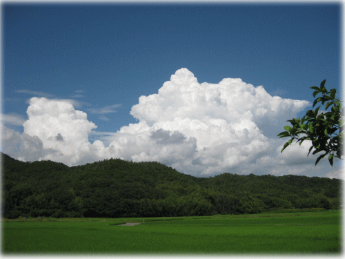 入道雲よ.gif