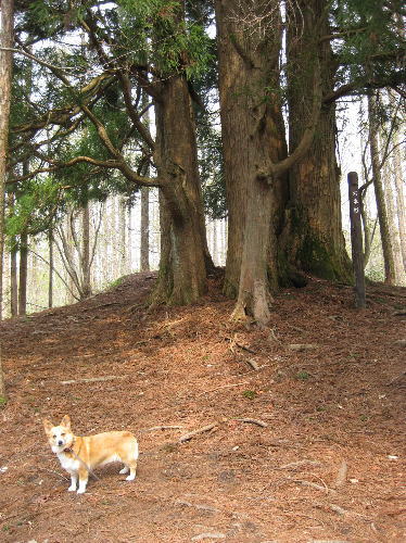 岡山森林公園
