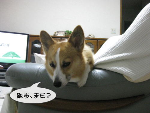 散歩