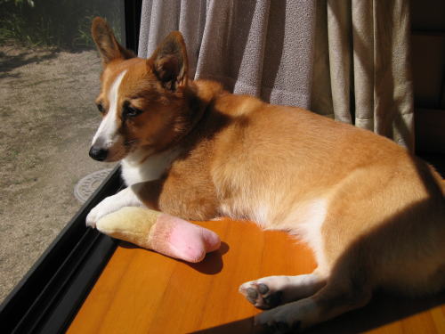 秋ですね