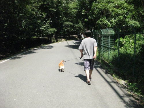 羅漢の里.jpg
