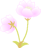 ico_05sakura1.gif