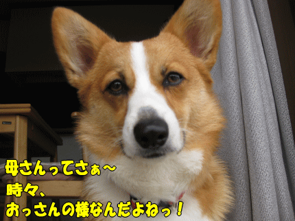 k113.gif