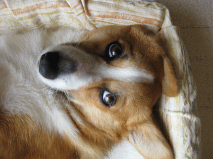 k136.gif