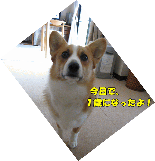 k140.gif
