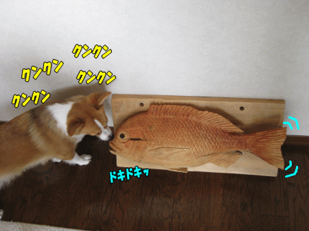 k179.gif