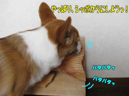 k182.gif