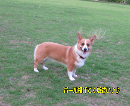 k244.gif
