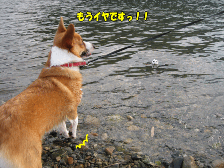 k316.gif