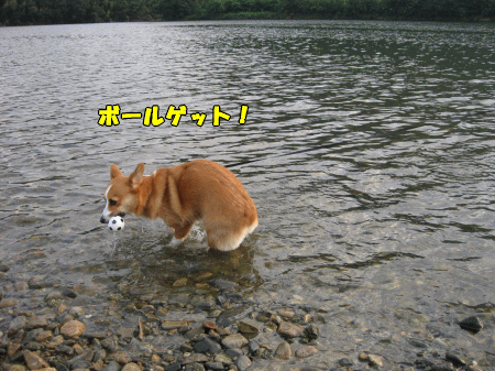 k319.gif