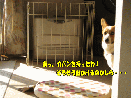 k40.gif