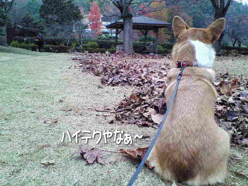 k437.gif