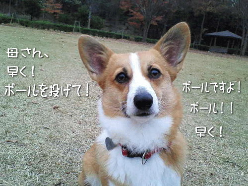 k439.gif