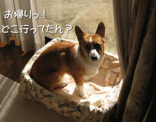k446.gif