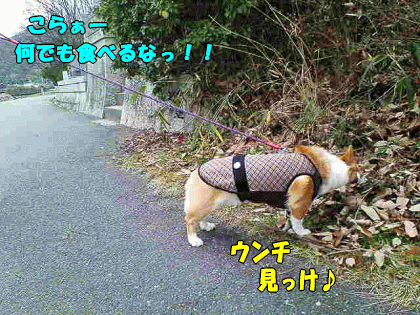 k50.gif