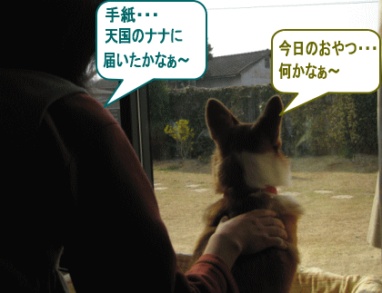 k95.gif