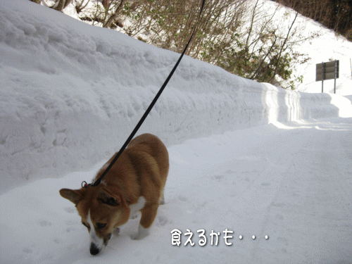 kana1-32.gif