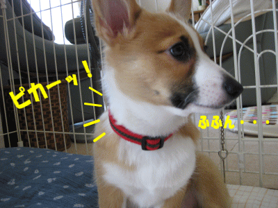kana111.gif