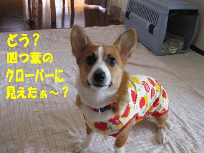 kana176.gif