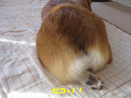 kana186.gif