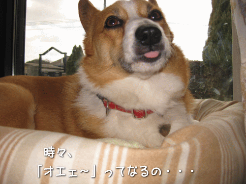 kana2-14.gif
