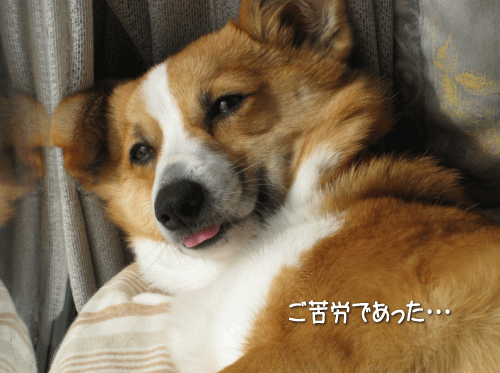kana2-6.gif