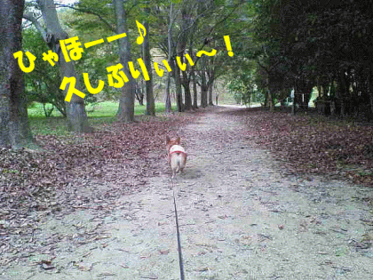 kana213.gif