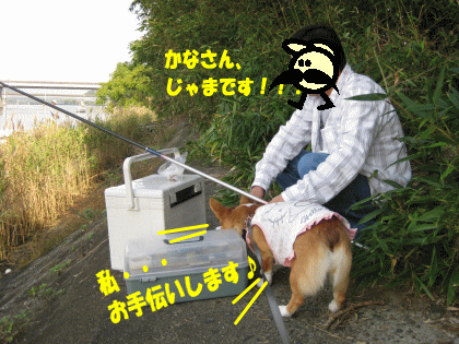 kana225.gif