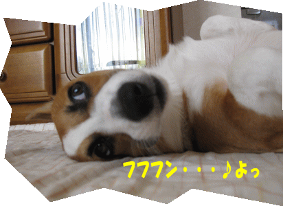 kana232.gif