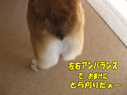 kana257.gif
