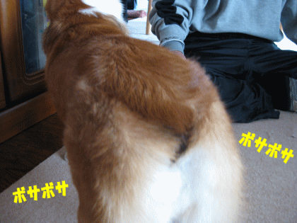 kana258.gif