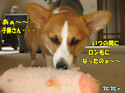 kana261.gif