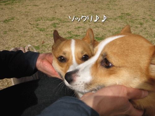 kana3-17.gif