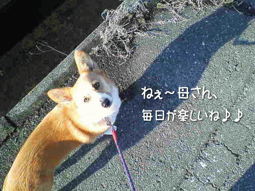 kana3-46.gif