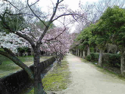 kana3-60.gif