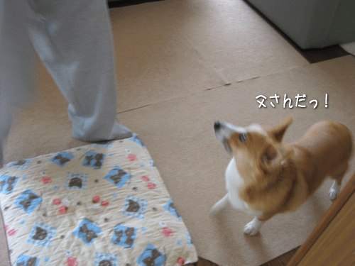kana5-11.gif