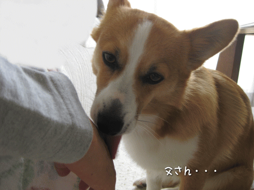 kana5-15.gif