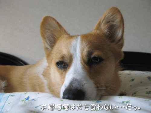 kana5-27.gif
