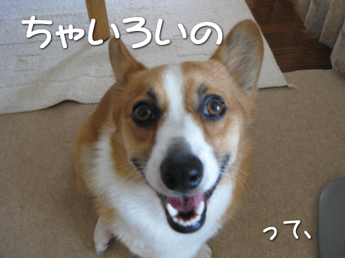 kana5-7.gif