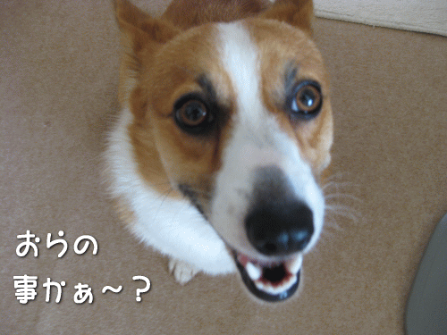 kana5-8.gif