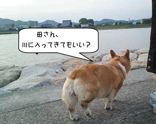 kana6-10.gif