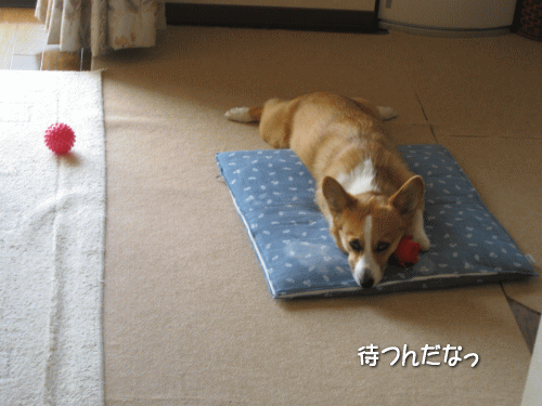 kana6-2.gif