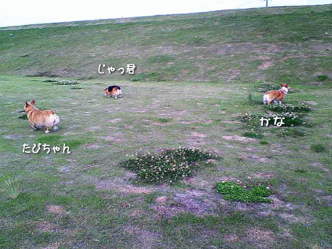 kana6-27.gif