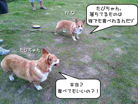 kana6-28.gif