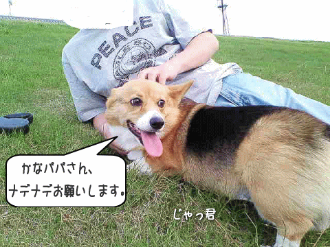 kana6-29.gif