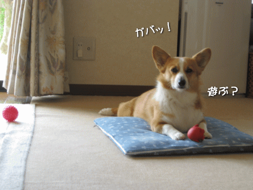 kana6-3.gif